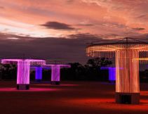 Bruce Munroe's Fibre Optic Symphoinic Orchestra Murray at night