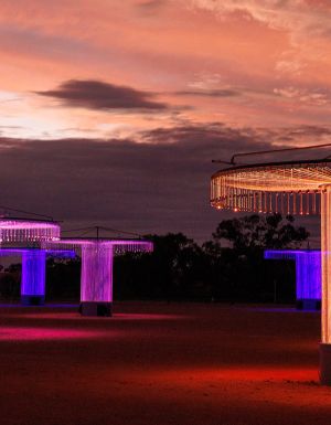 Bruce Munroe's Fibre Optic Symphoinic Orchestra Murray at night