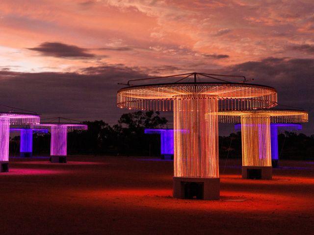 Bruce Munroe's Fibre Optic Symphoinic Orchestra Murray at night