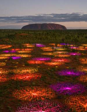 field of light uluru