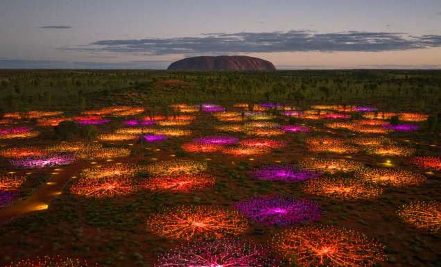field of light uluru