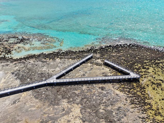 shark bay boardwalk