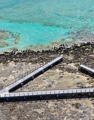 shark bay stromatolites boardwalk