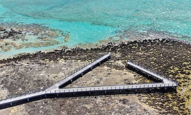 shark bay stromatolites boardwalk