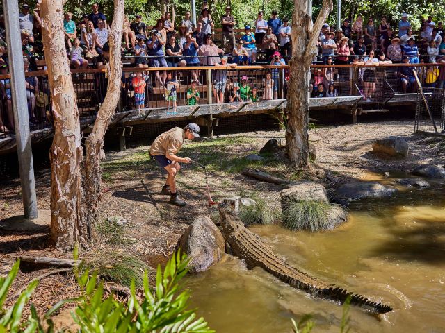 Hartley's Crocodile Adventures port douglas