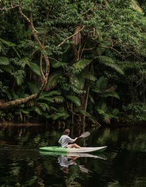 A man kayaking in the Daintree