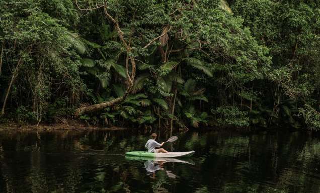A man kayaking in the Daintree