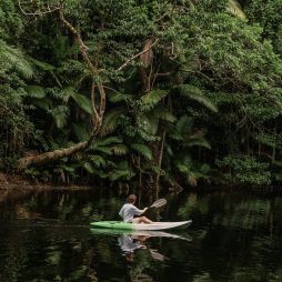 A man kayaking in the Daintree