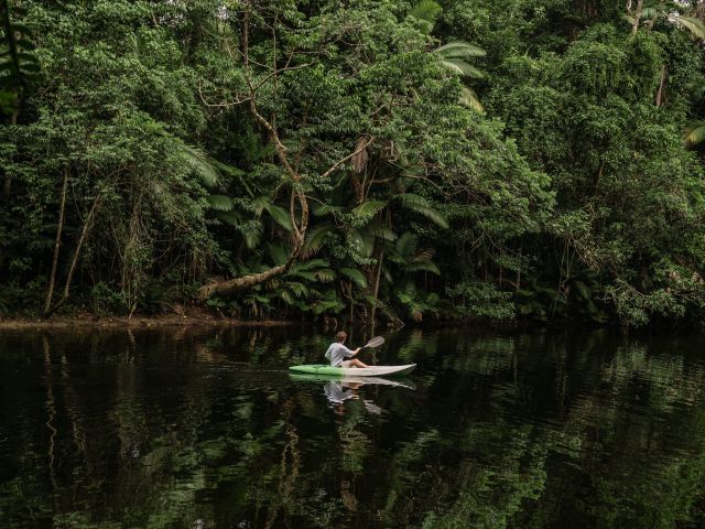 A man kayaking in the Daintree