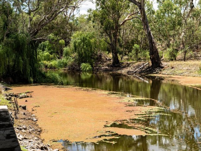 Mungindi nsw