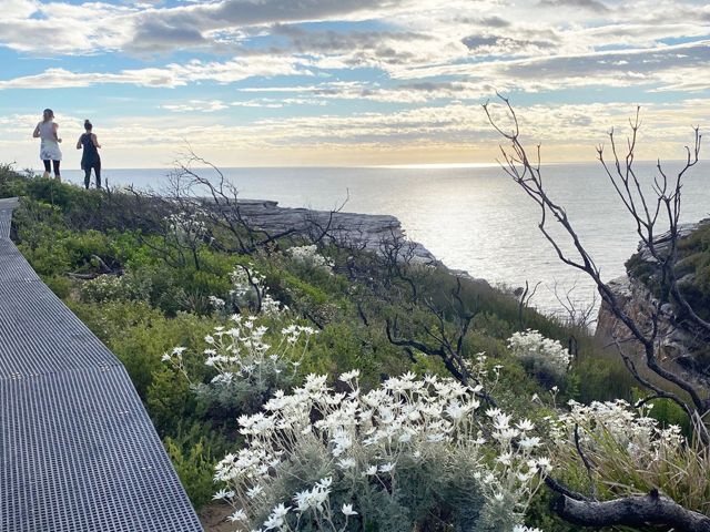 Royal National Park Cape Baily Walking Track
