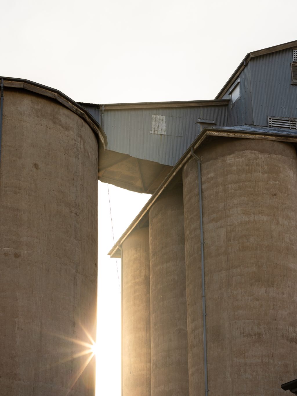 Concrete grain silos near Temora