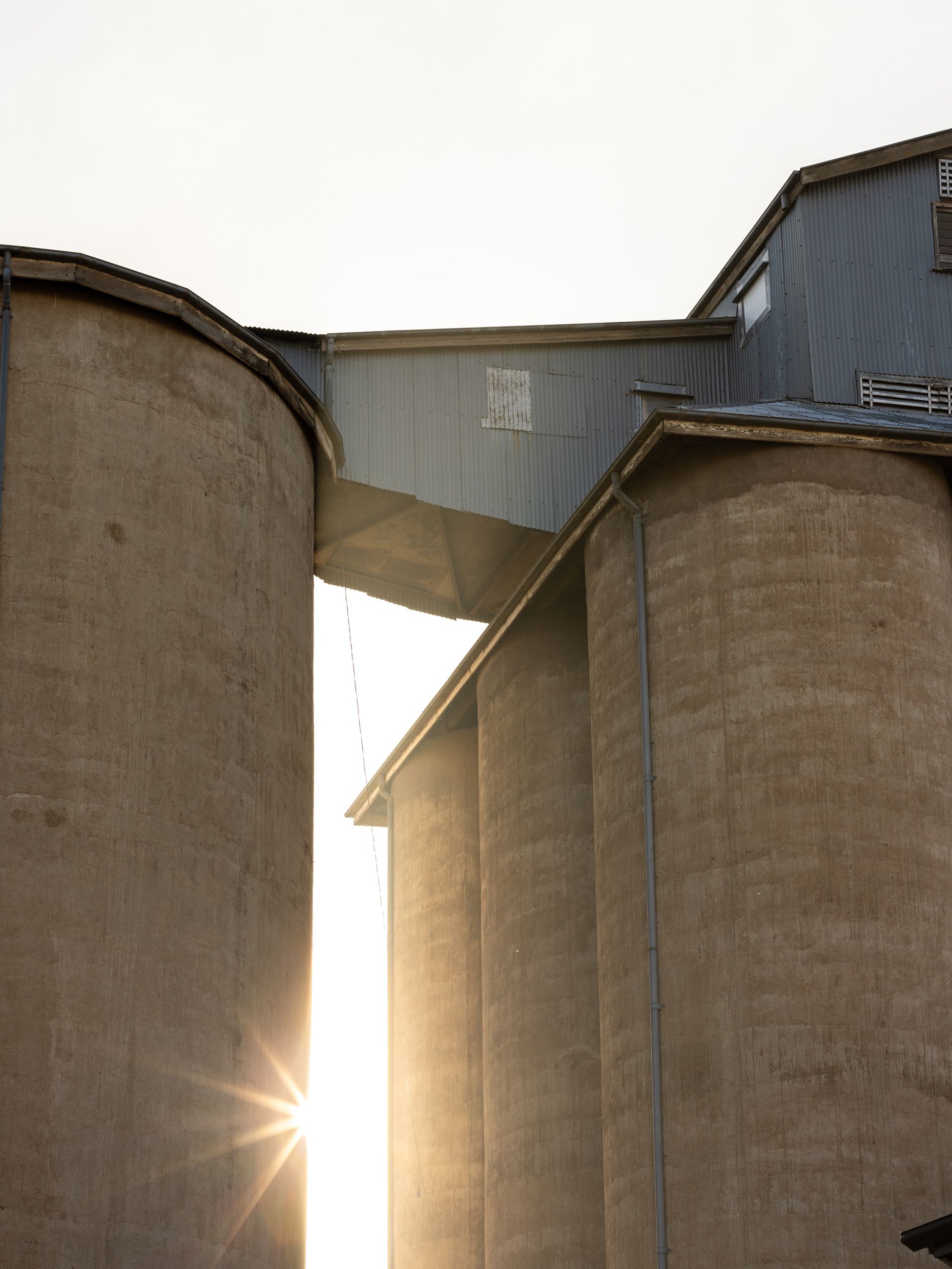 Concrete grain silos near Temora
