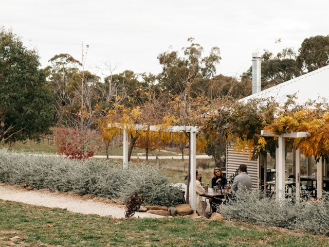 Swinging Bridge Wines in Orange, NSW
