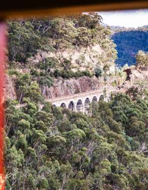 Scenic views aboard Southern Aurora Vintage Rail journey.