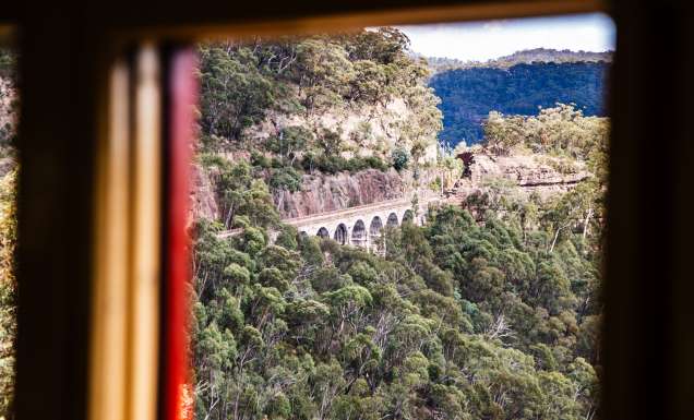 Scenic views aboard Southern Aurora Vintage Rail journey.