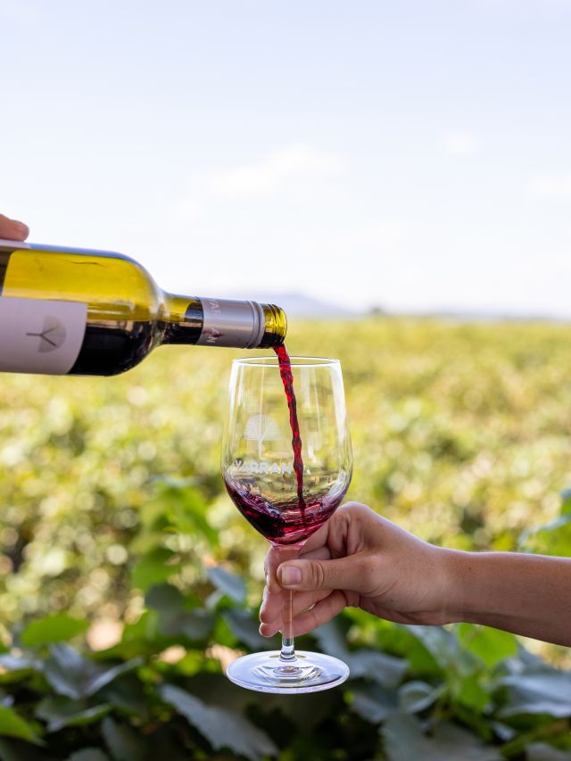 winery experience in new south wales