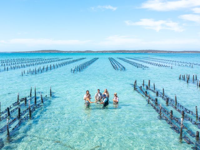 oyster farm at Coffin Bay