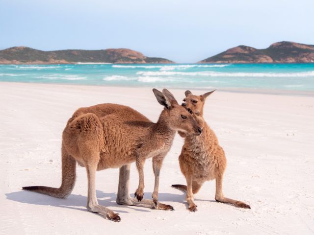 Esperance
