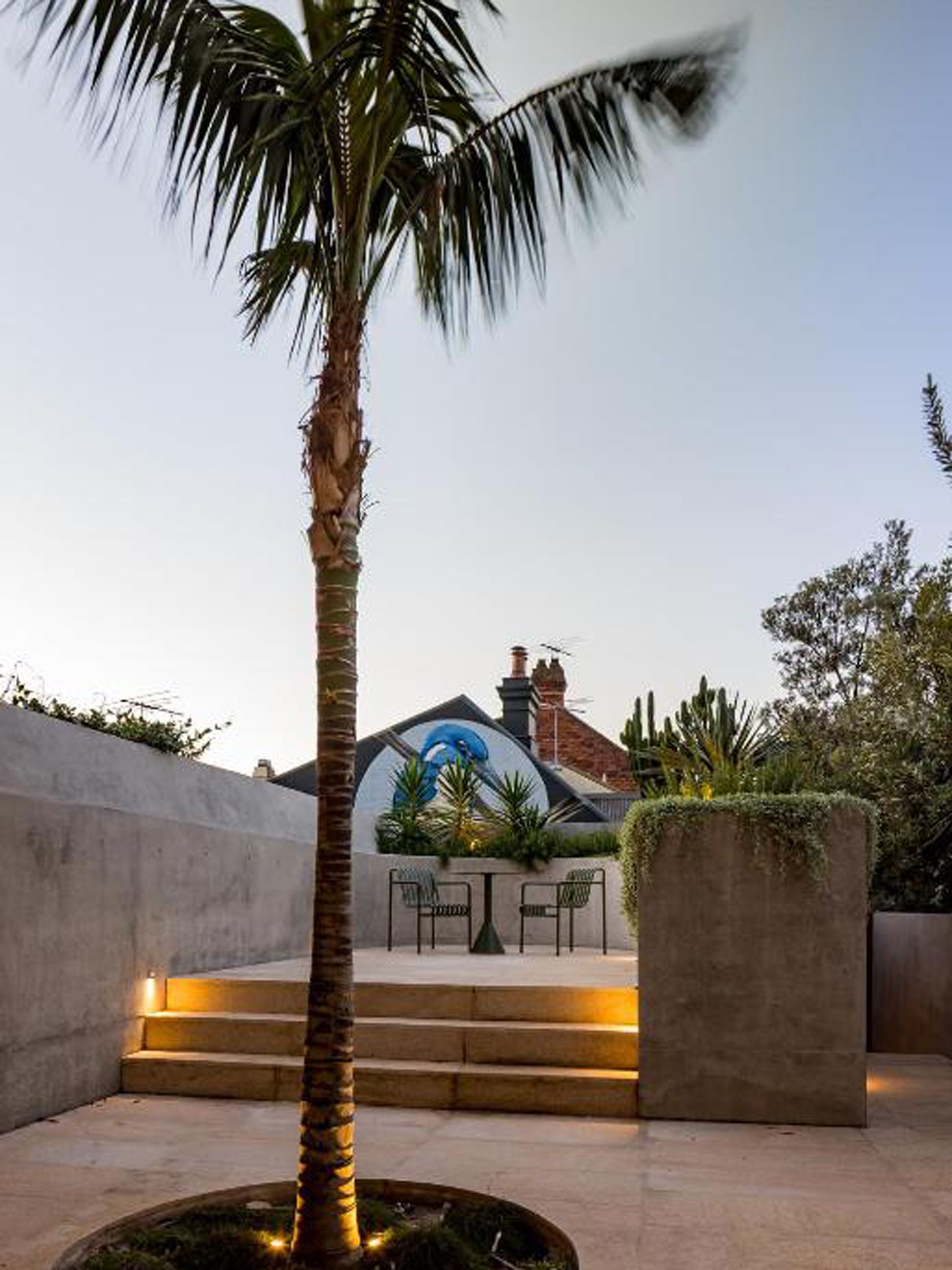 A courtyard with a palm tree