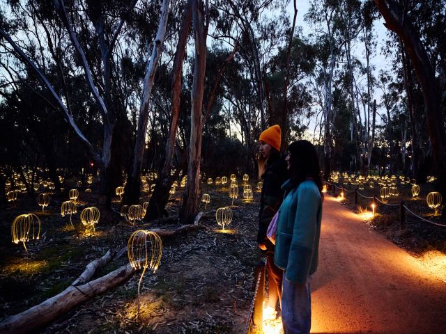 Bruce Munro’s mesmerising Trail of Lights 