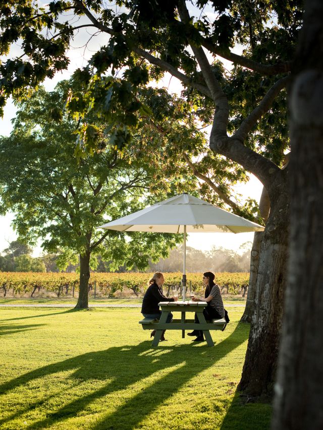 Campbells Wines