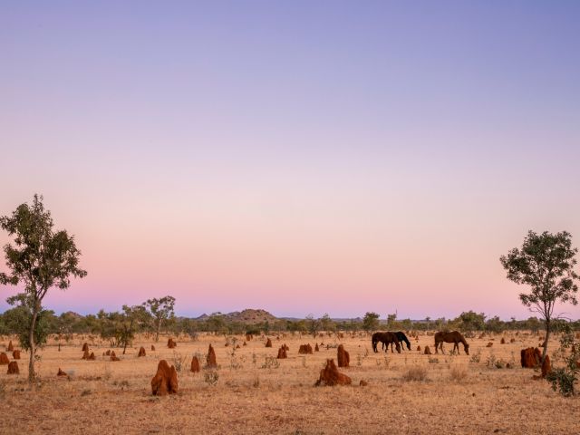 Outback Queensland
