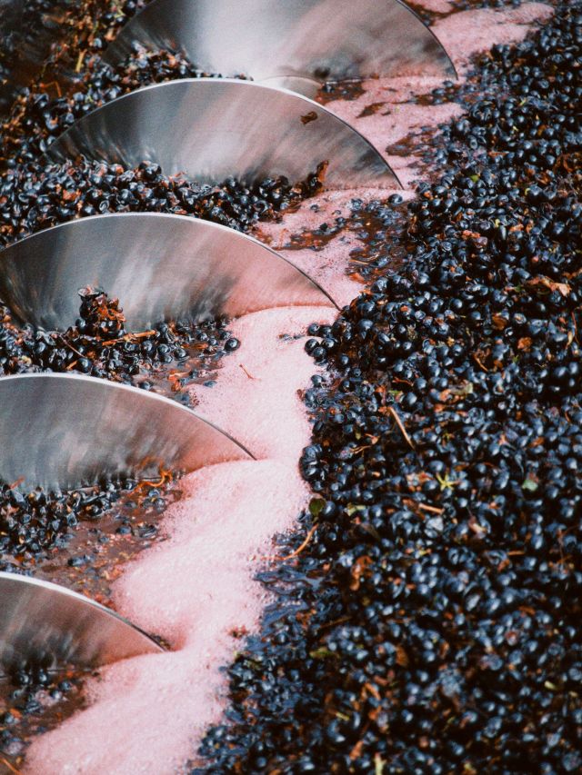 beresford estate winemaking