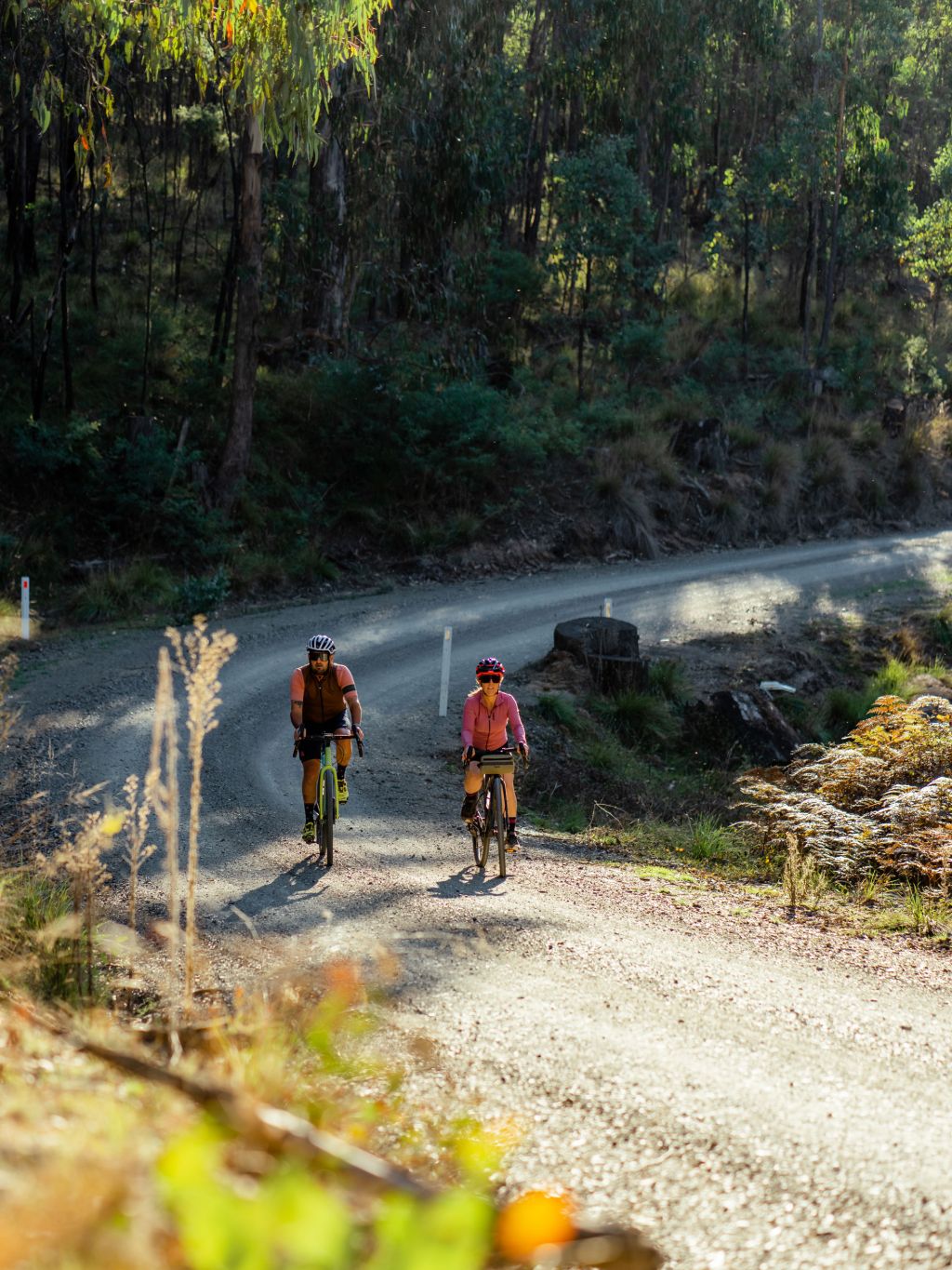 murray to mountains rail trail