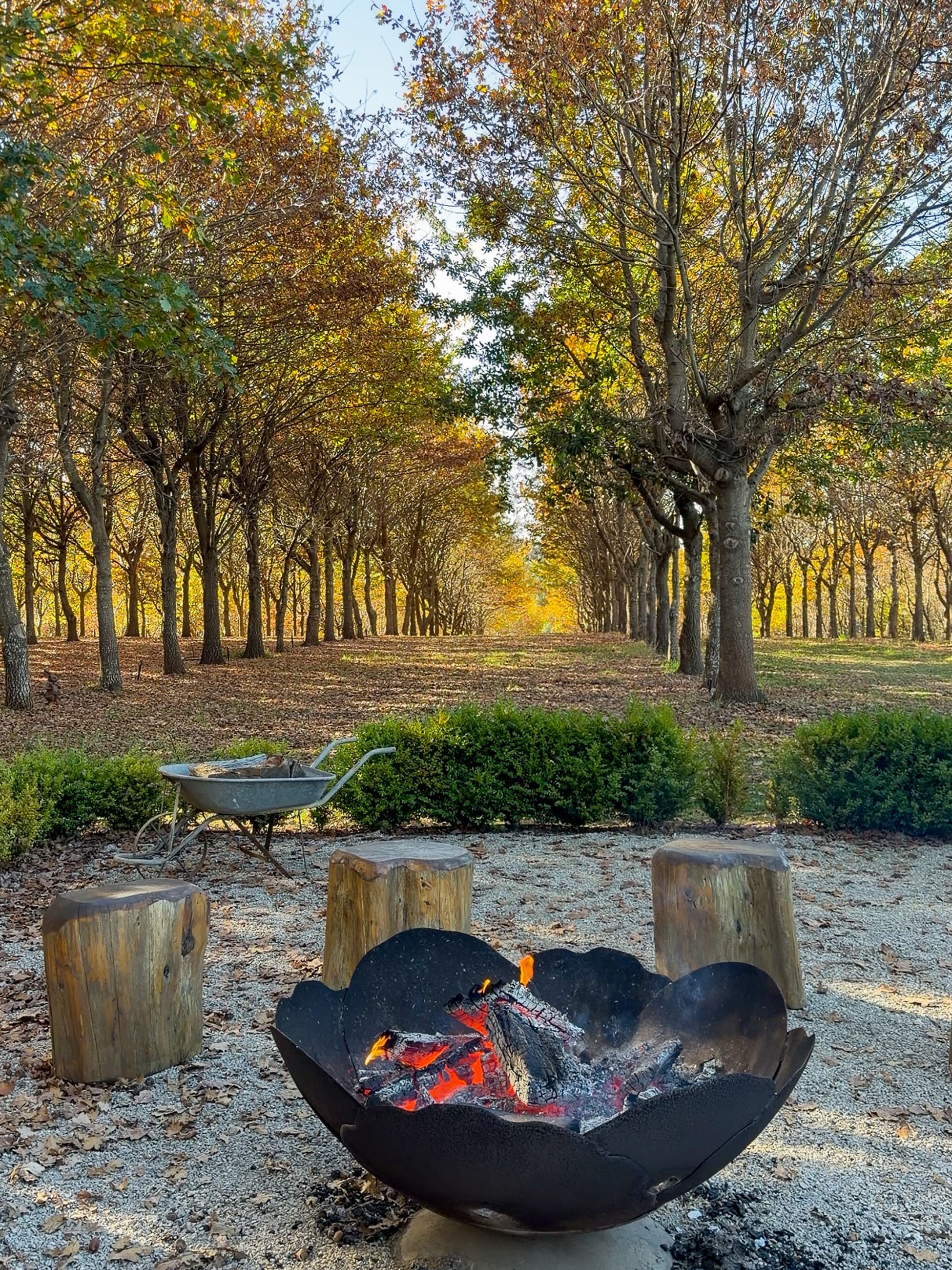 the firepit at The Truffle Farm, Tasmania