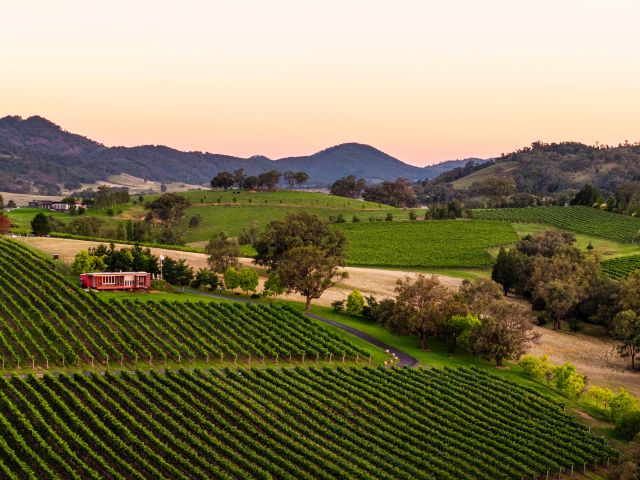 First Ridge Wines in Mudgee, NSW