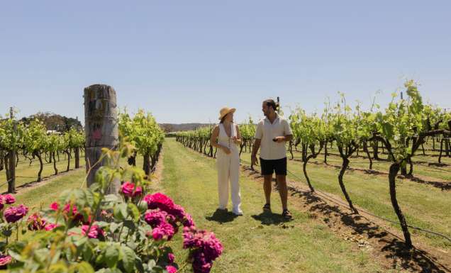 Couple walking through vineyard in Stanthorpe, Queensland