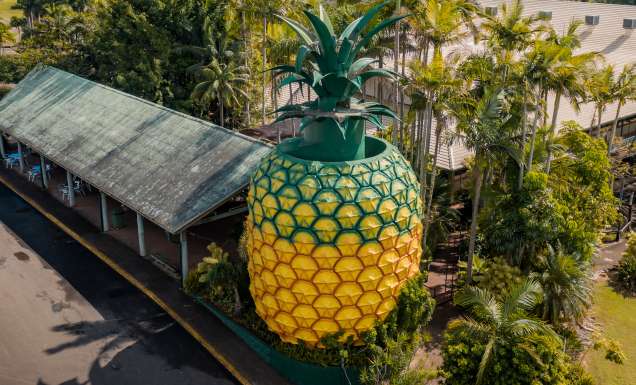 The Big Pineapple in the Sunshine Coast, Queensland