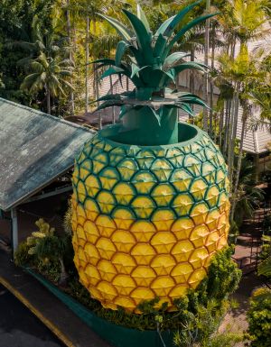 The Big Pineapple in the Sunshine Coast, Queensland