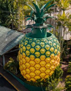 The Big Pineapple in the Sunshine Coast, Queensland