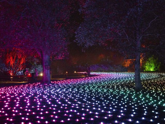Lightscape Royal Botanic Garden Melbourne