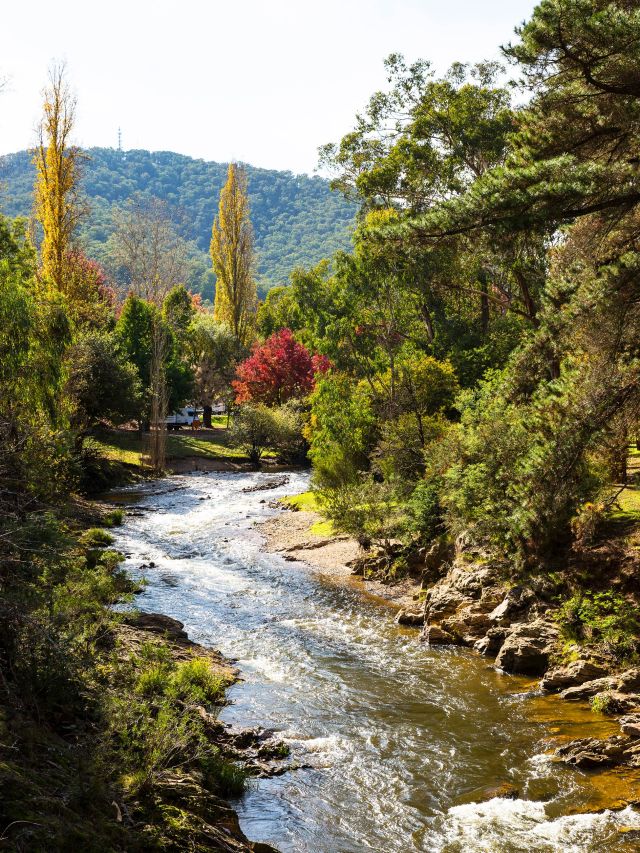 murray to mountains rail trail