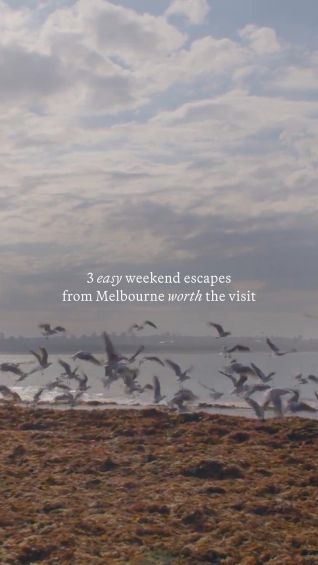 3 easy weekend escapes from Melbourne worth the visit