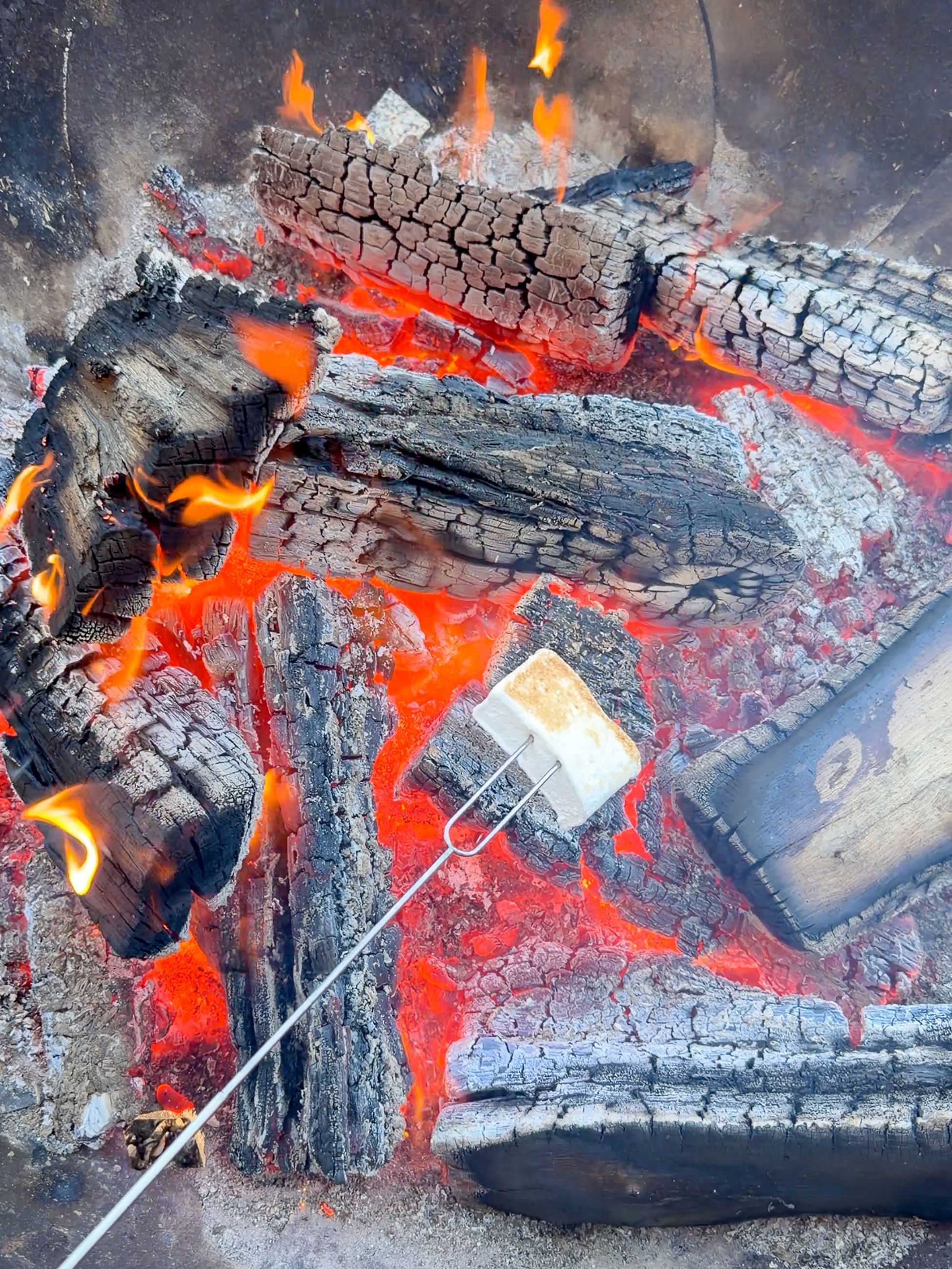 Roasting a s'more on the firepit at The Truffle Farm, Tasmania