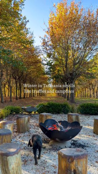 The Truffle Farm in Tasmania: dogs, firepits and s’mores