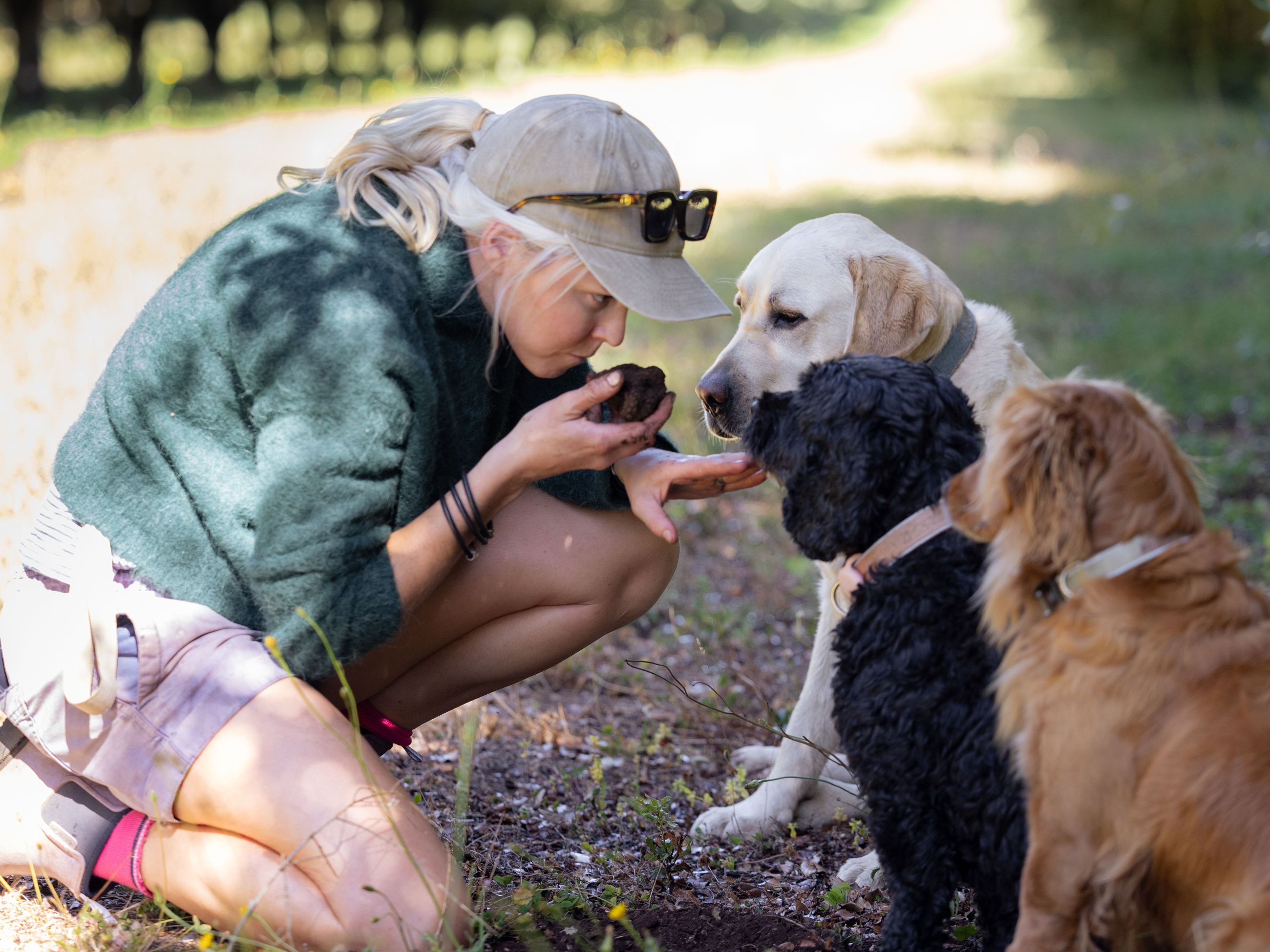 Dogs and farmer at The Truffle Farm, Tasmania