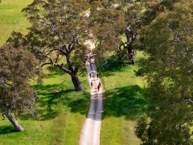 Walkers on The Aussie Camino, Limestone Coast, South Australia