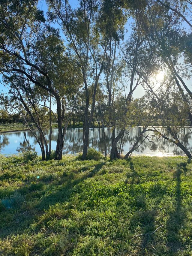 Carinya Station, Lightning Ridge
