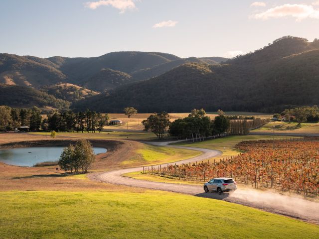 Logan Wines, Mudgee