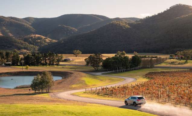 Logan Wines, Mudgee