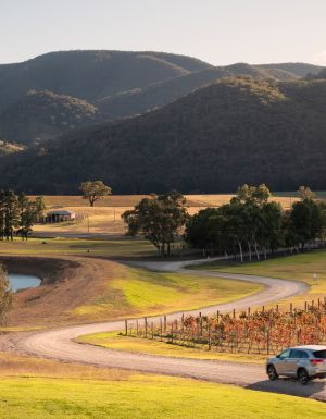 Logan Wines, Mudgee