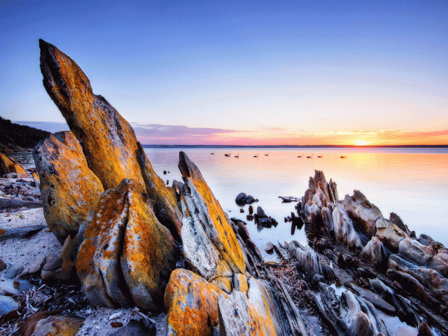 american river kangaroo island