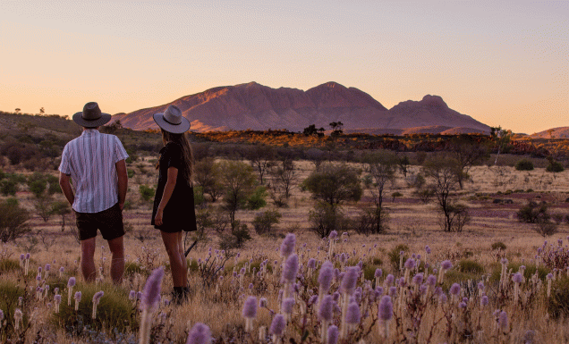 Land a free flight to Alice Springs when you book by end of November