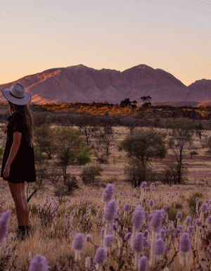 Land a free flight to Alice Springs when you book by end of November