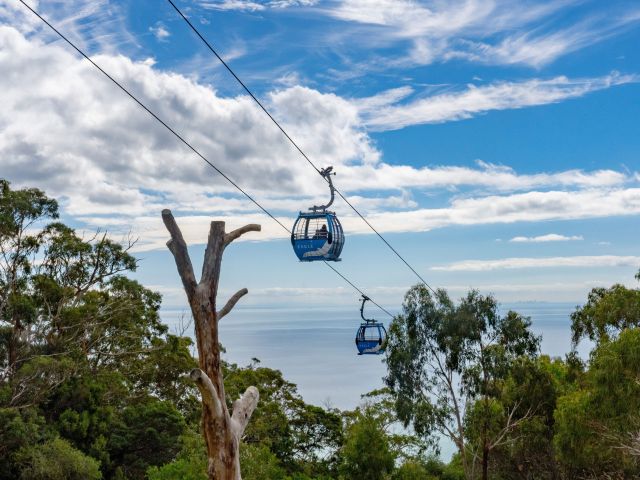 Arthurs Seat Eagle on mornington peninsula